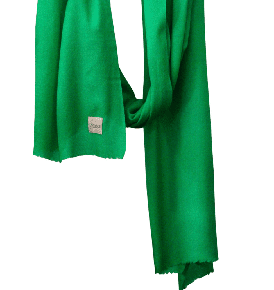 Women's Cashmere Shawls of Srinagar Green