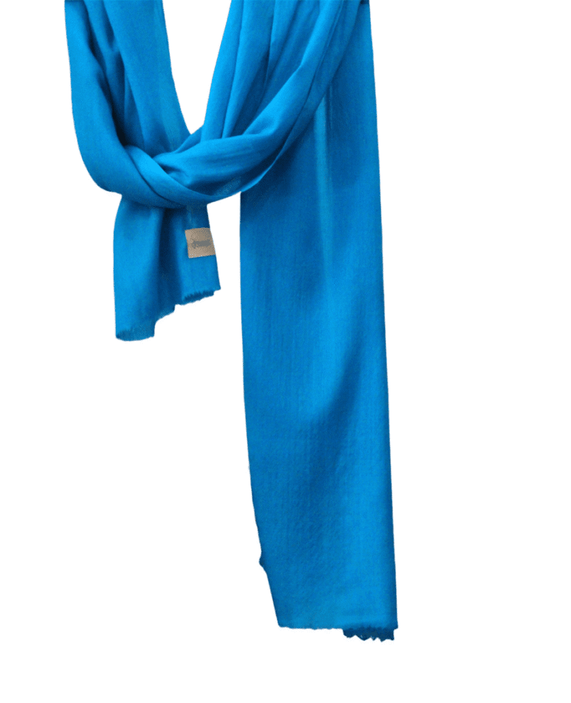 Women's Cashmere Shawls of Srinagar Sky blue